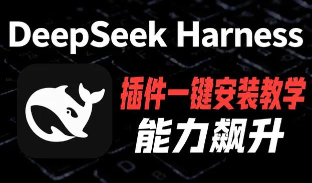 DSH怎么装插件