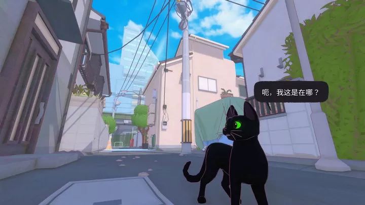 大城小猫手机版截图3