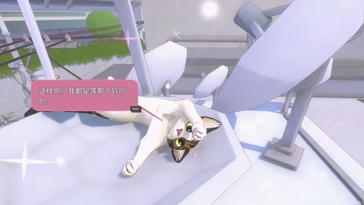 大城小猫手机版截图4
