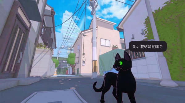 大城小猫手机版