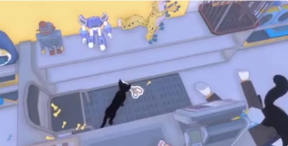 大城小猫