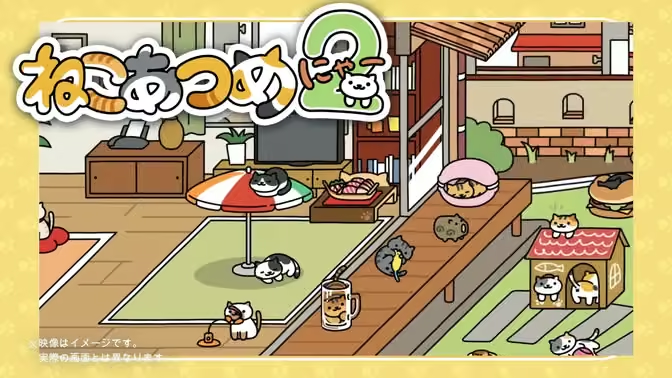 猫咪后院2