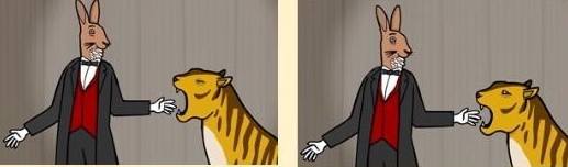 兔子先生的魔法秀