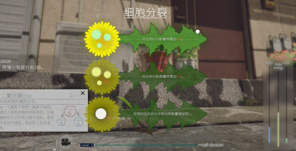 蒲公英不屈