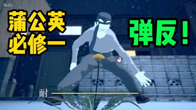 蒲公英不屈
