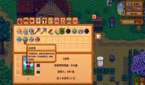 星露谷宝可梦小镇