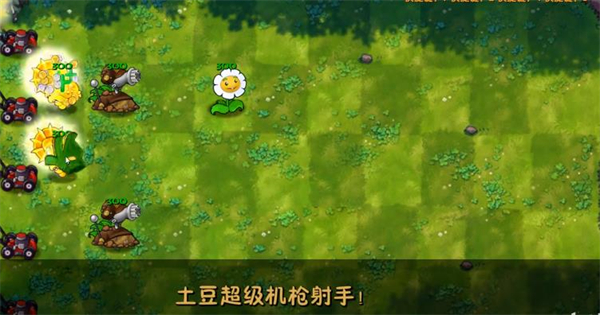 植物大战僵尸融合版