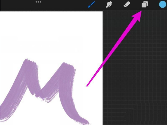 Procreate