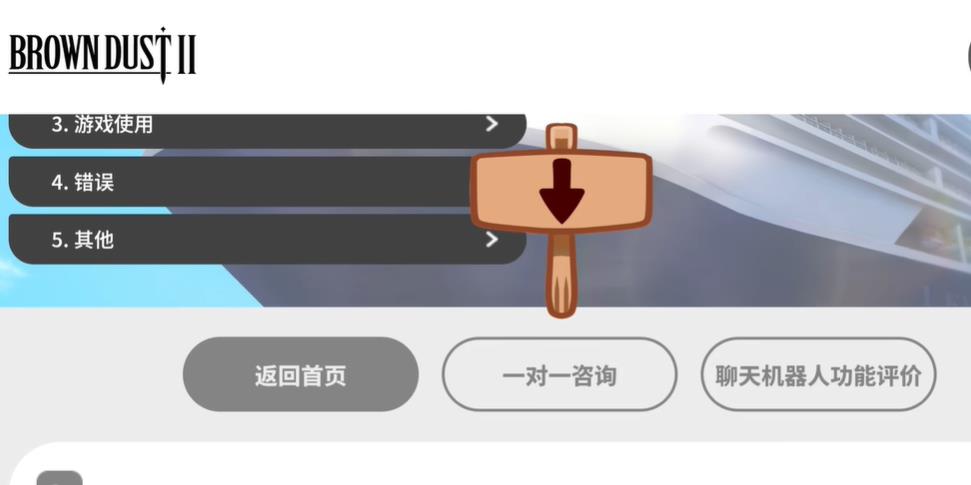 棕色尘埃2国际服