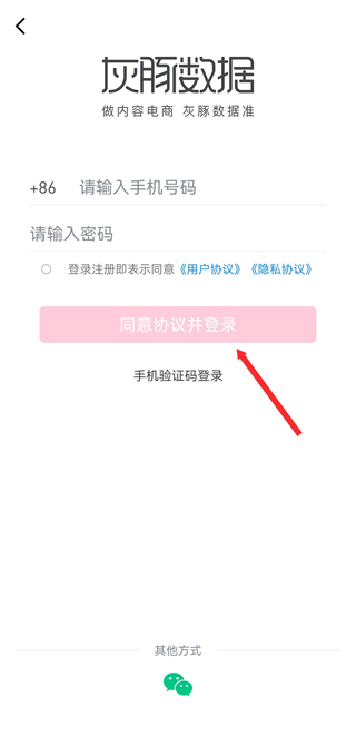 灰豚数据