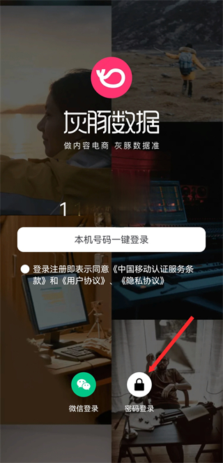 灰豚数据