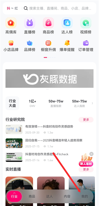 灰豚数据