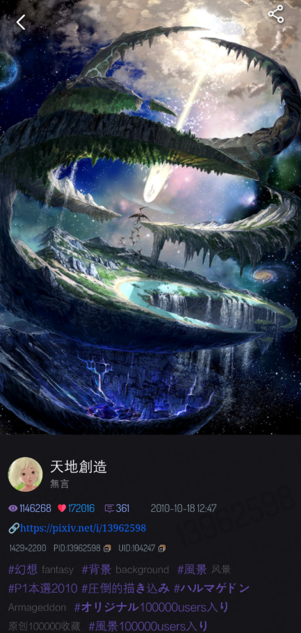 PixivViewer截图5