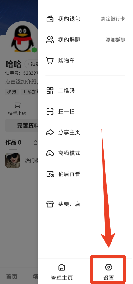 快手国际版