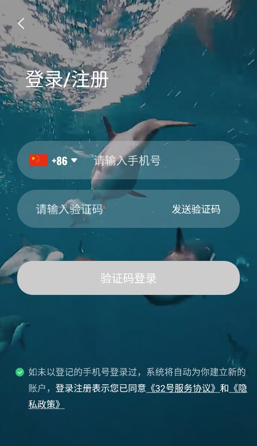 32号