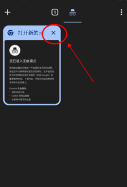 Chrome手机版