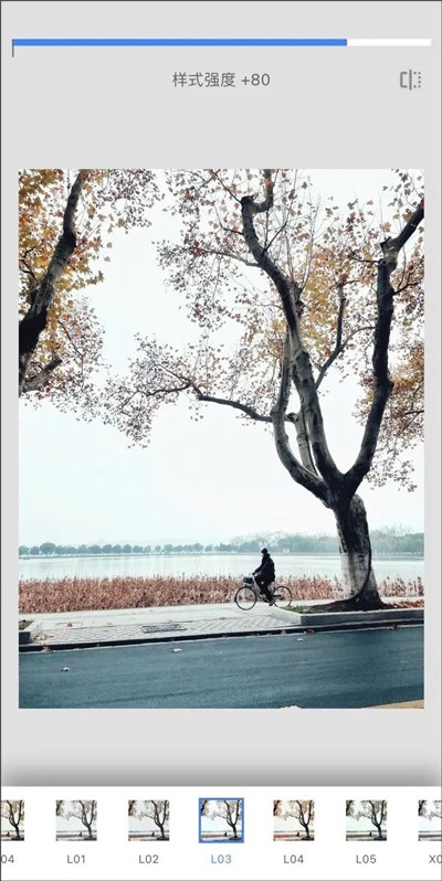 Snapseed小叶子