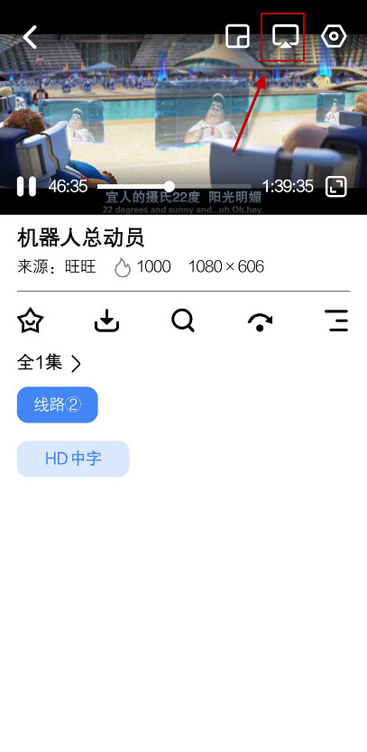 鲨鱼剧场