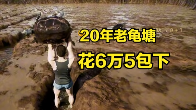 包塘模拟器