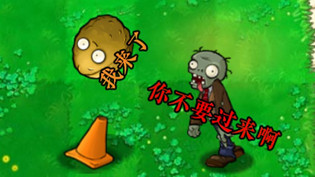 植物大战僵尸招笑版