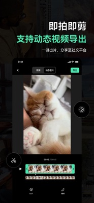 飓风相机截图3