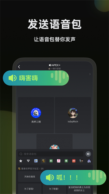 黑盒语音截图2