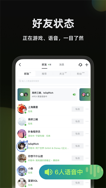 黑盒语音截图3