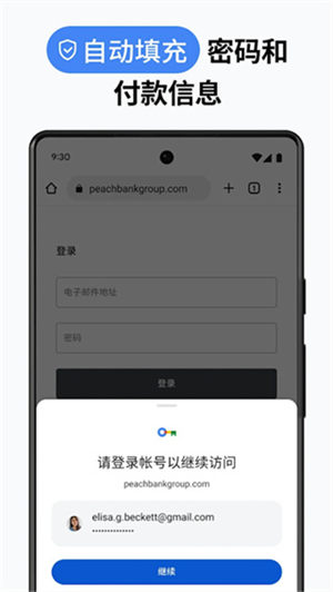谷歌浏览器截图5