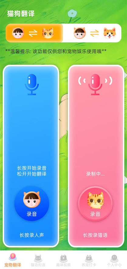 宠物猫咪翻译器