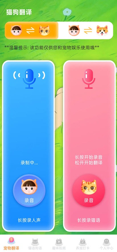 宠物猫咪翻译器