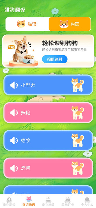 宠物猫咪翻译器