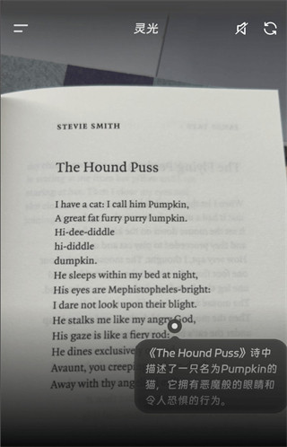 灵光