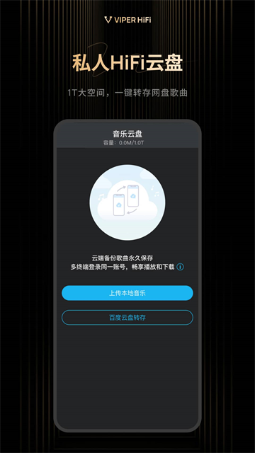 VIPERHiFi截图4