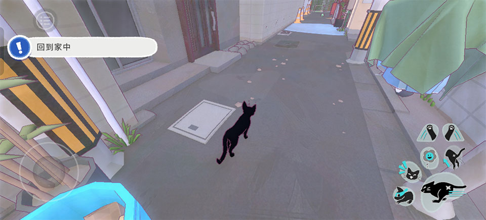 小猫咪大城市