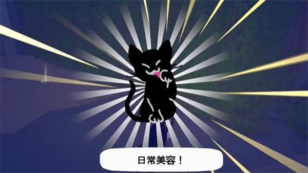 小猫咪大城市