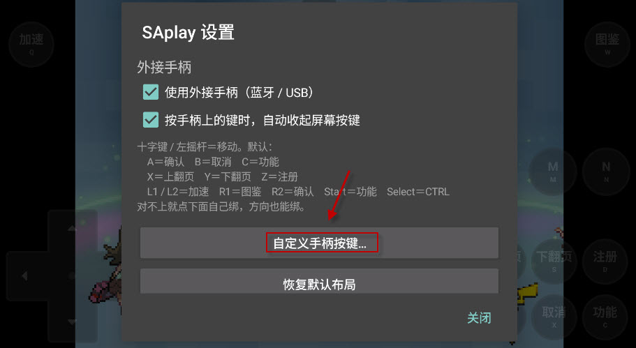 SAplay