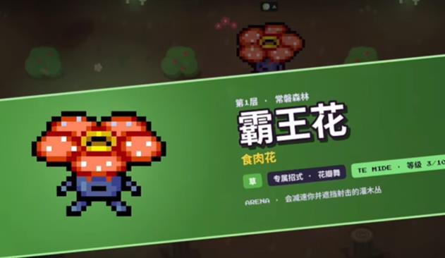 宝可梦以撒