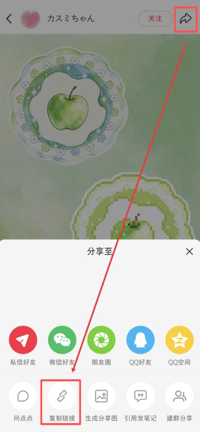 豆猫